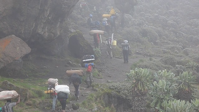 攀登坦桑尼亚的乞力马扎罗山视频素材