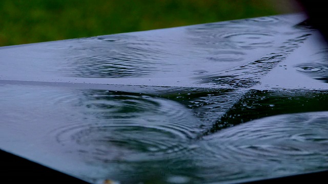 棕榈树与雨水视频素材