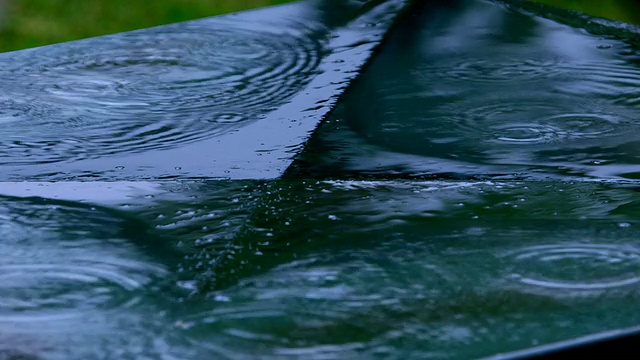 棕榈树与雨水视频素材