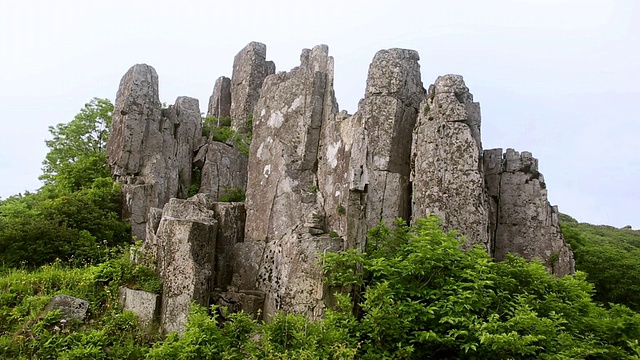 韩国，光州，全罗南道，木登山(著名旅游景点)的峭壁和树视频素材