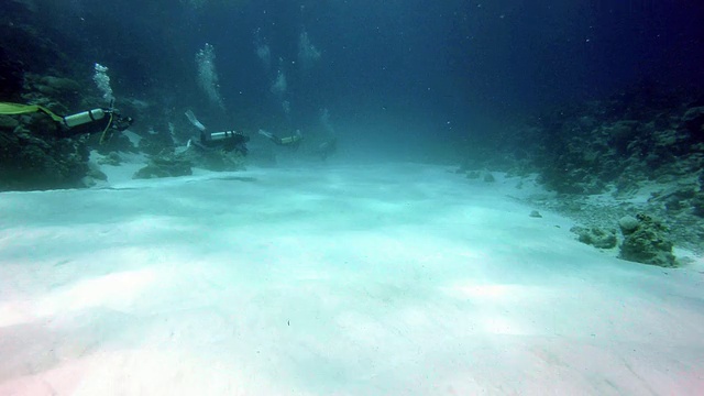 在水下游泳跳水运动员视频素材