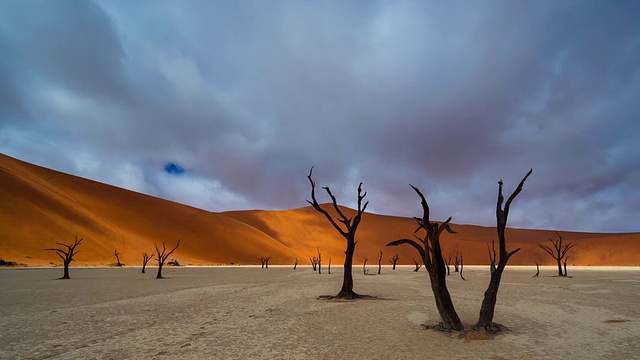 Namib-Naukluft公园的Deadvlei视频素材