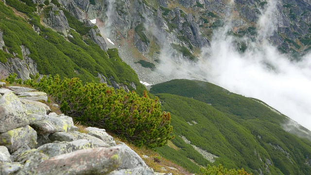 Tatra山上的风景视频素材