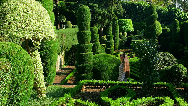 植物园视频素材