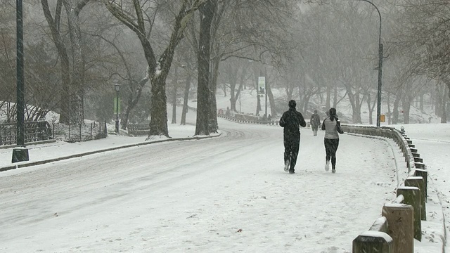 在一个下雪的冬日，一男一女慢跑者在纽约中央公园的一条小路上跑步视频素材