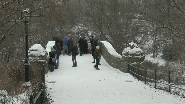 人们站在纽约中央公园的一座桥上，在一个下雪的冬天。有些人正在拍照，从桥上往下看。视频素材