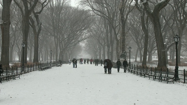 在一个大雪纷飞的冬日里，纽约中央公园的街道上，交通拥挤。视频素材