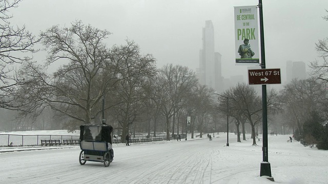 这张照片拍摄的是下雪天纽约中央公园被雪覆盖的街道。在镜头中可以看到指向67街方向的指示牌。一辆三轮车沿街而行视频素材