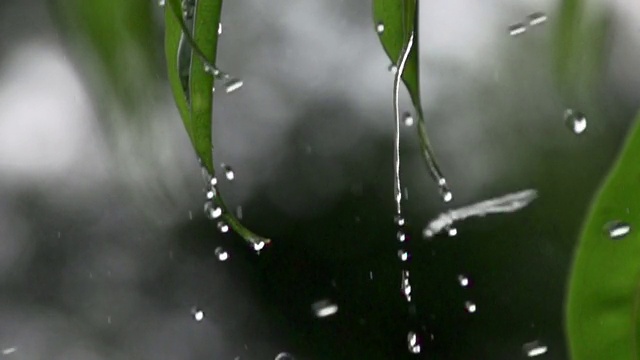 雨滴的慢动作视频素材