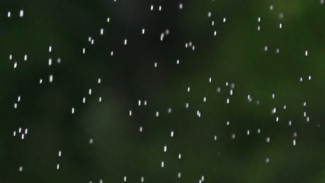 雨滴的慢动作视频素材