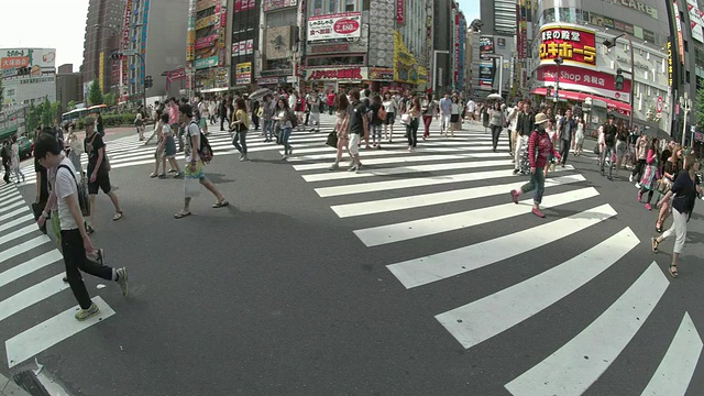 T - L,新宿、东京,日本视频素材