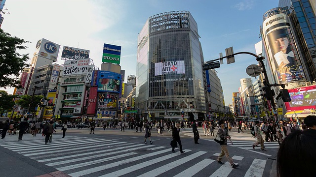 T / L,洛杉矶,涩谷秘密地,日本东京视频素材