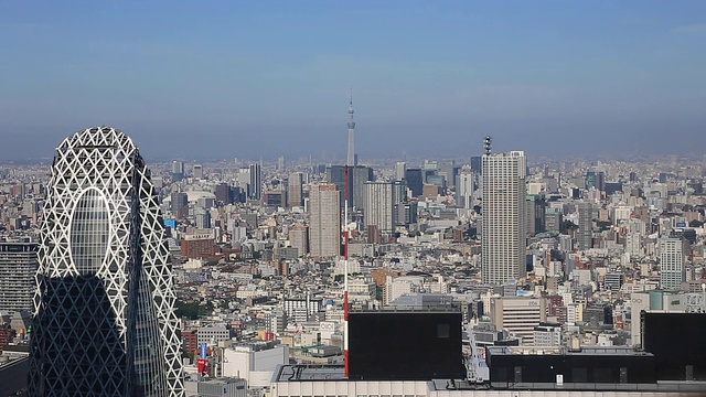 东京的夏季景观视频素材