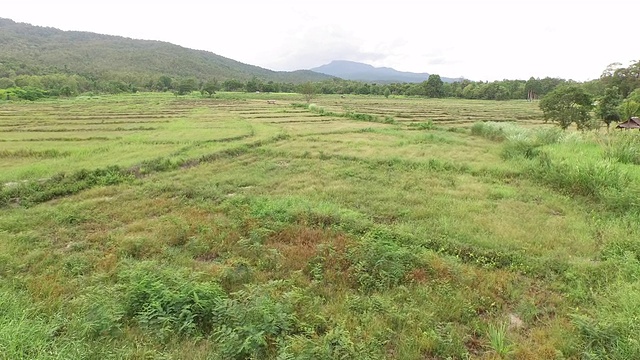 绿色田野的鸟瞰图视频素材