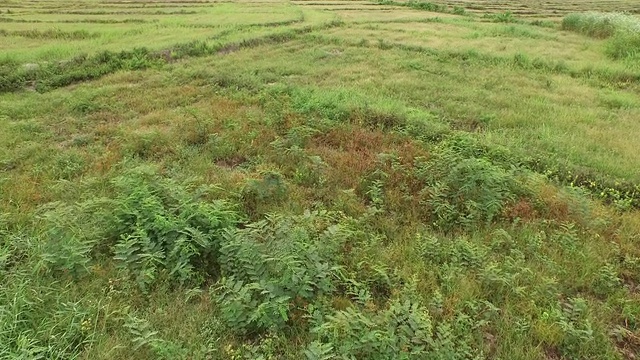 景观鸟瞰图视频素材