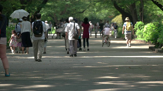 上野公园散步的人群。日本东京视频素材