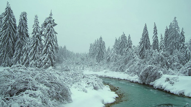 绿松石河与树在雪视频素材