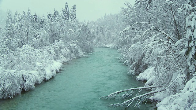 河边下雪视频素材