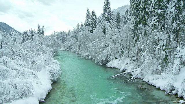 绿松石河与树在雪视频素材