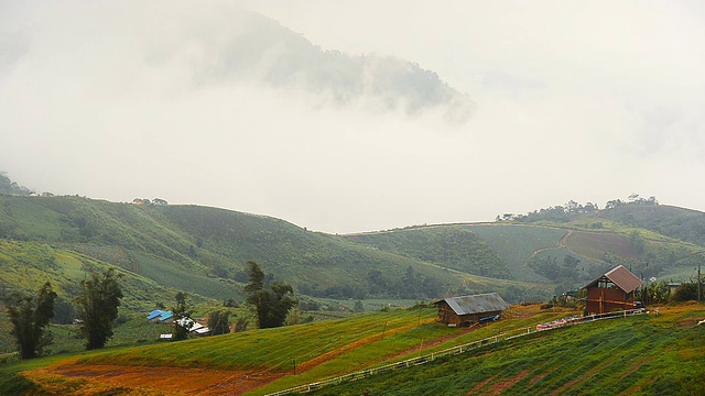 山,雾。/泰国碧差汶省公园府，雨季。视频素材