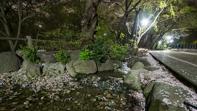 北首尔塔的夜景视频素材