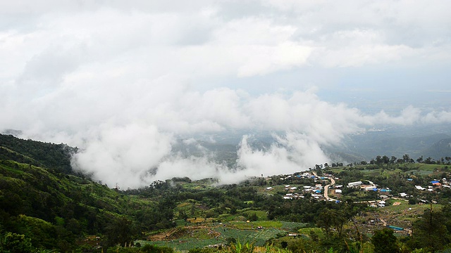 山,雾。/泰国碧差汶省公园府，雨季。视频素材