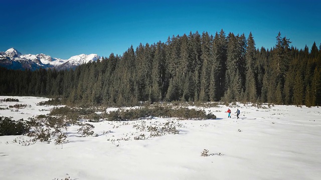 在阳光明媚的日子里，空中穿雪鞋穿越山谷视频素材