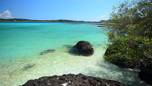 夏季海滩上的波浪形态视频素材