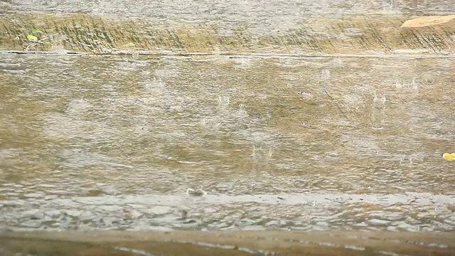 大雨。视频素材