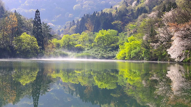 湿雾在色扬基湖(火星水库)上空移动视频素材