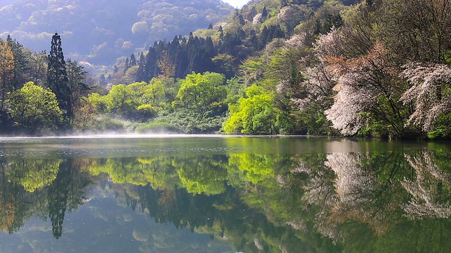 湿雾在色扬基湖(火星水库)上空移动视频素材