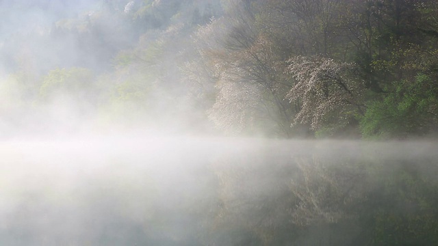 湿雾在色扬基湖(火星水库)上空移动视频素材