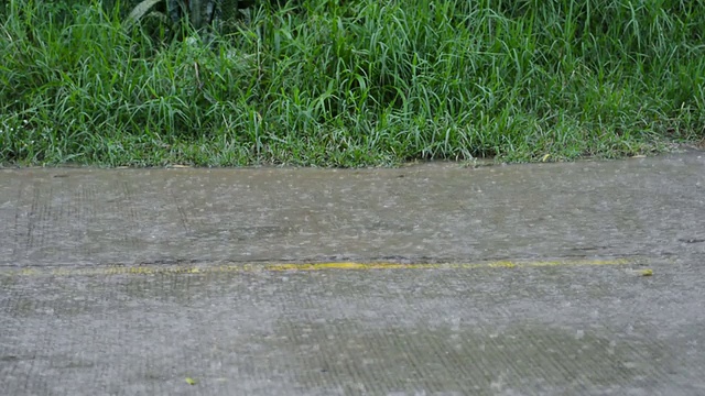 路上下大雨视频素材