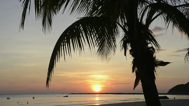 MS View of Sunset at sea with palm trees / Ngapali，若开邦，缅甸视频素材