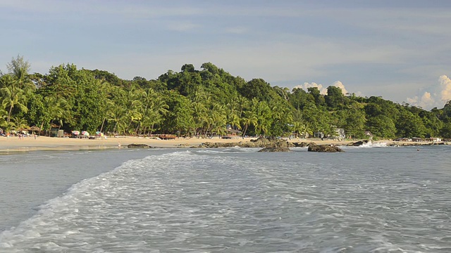 沙滩上的棕榈树和汹涌的海浪/缅甸若开邦Ngapali视频素材