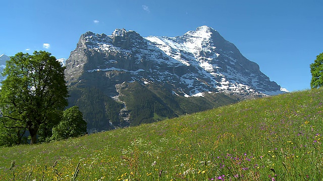 从Grindelwald到Eiger / Grindelwald, Bernese Oberland，瑞士视频素材