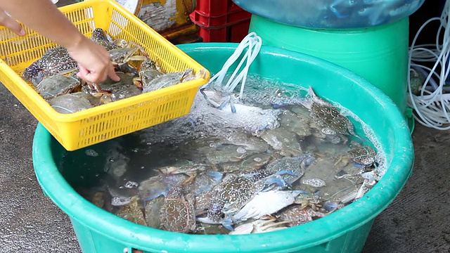 螃蟹在市场视频素材