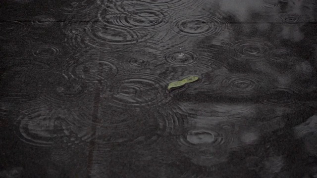 水坑上水滴的慢镜头，每秒240帧视频素材