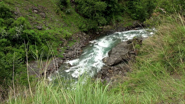 近距离拍摄的急流充满了河流沿着谷底与风吹草在前景。视频素材