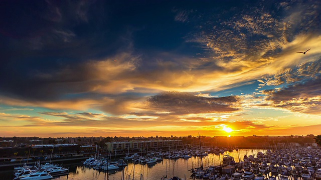 Marina Del Rey，加州视频下载