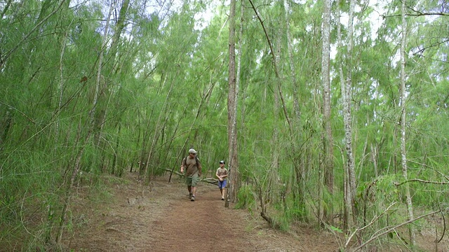 父子在夏威夷徒步旅行视频素材