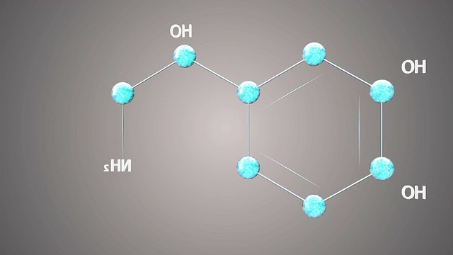 去甲肾上腺素分子视频素材