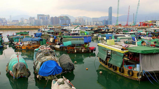 香港避风塘视频素材