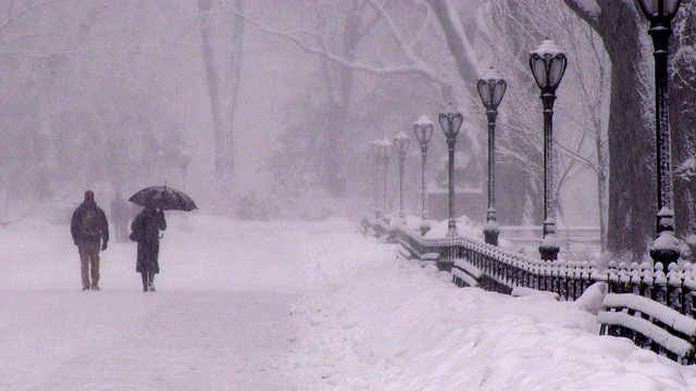 在暴风雪中穿过中央公园的男人和女人视频素材