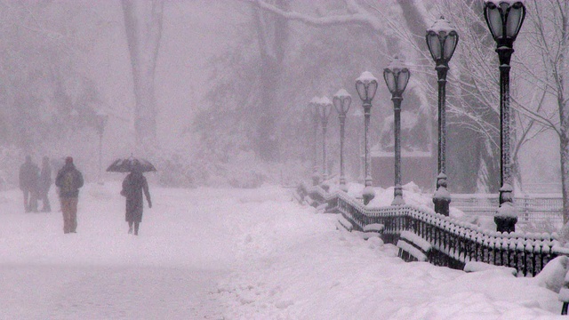 在暴风雪中穿过中央公园的男人和女人视频素材