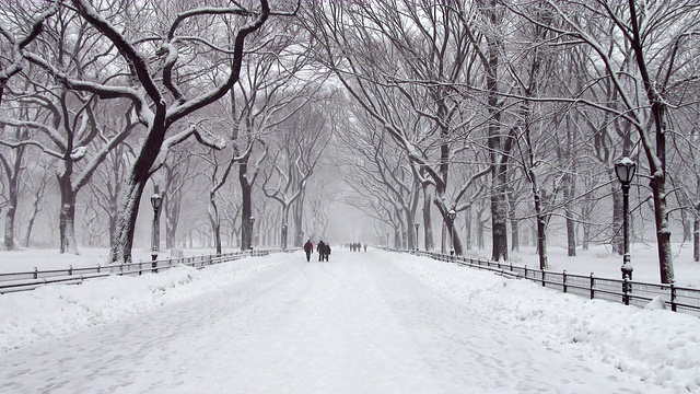 暴风雪中在中央公园散步的人们视频素材