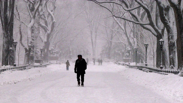 一名男子在暴风雪中穿过中央公园视频素材