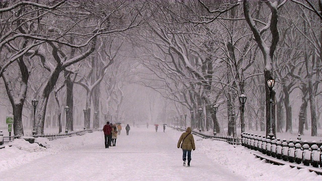 暴风雪中在中央公园散步的人们视频素材