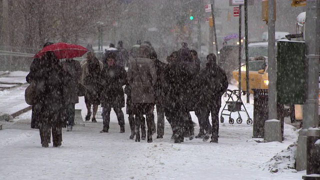 哥伦布圆环的下雪天视频素材