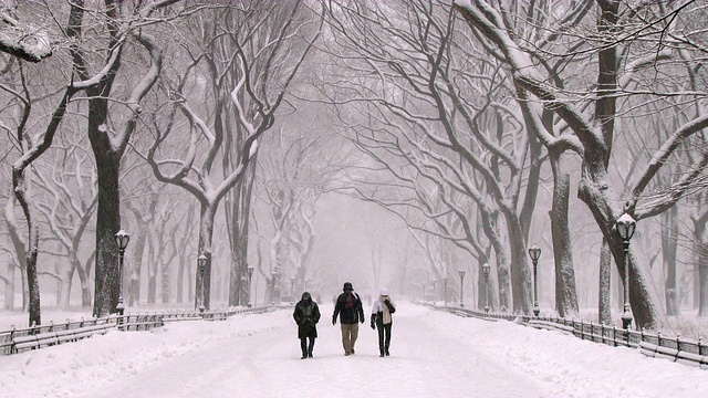 暴风雪中在中央公园散步的人们视频素材